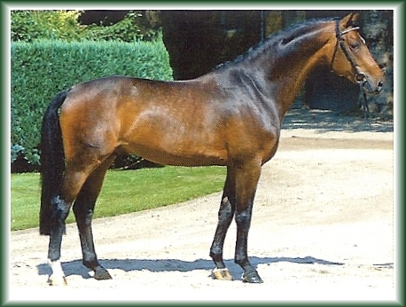 PRADO