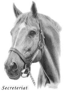 Secretariat - Artwork